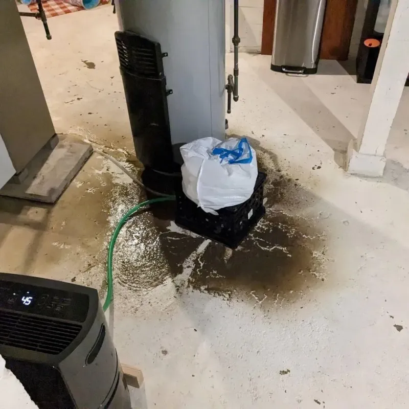 Sewage Backup Cleanup Service in Hoschton, GA